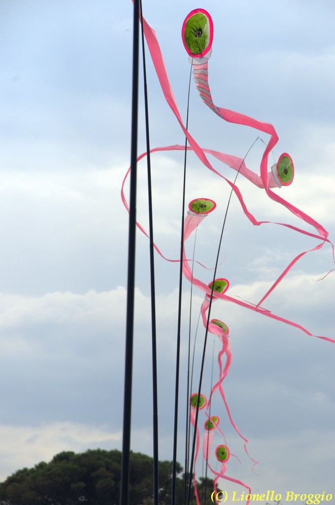 32 FESTIVAL CERVIA 2012 - 296.jpg